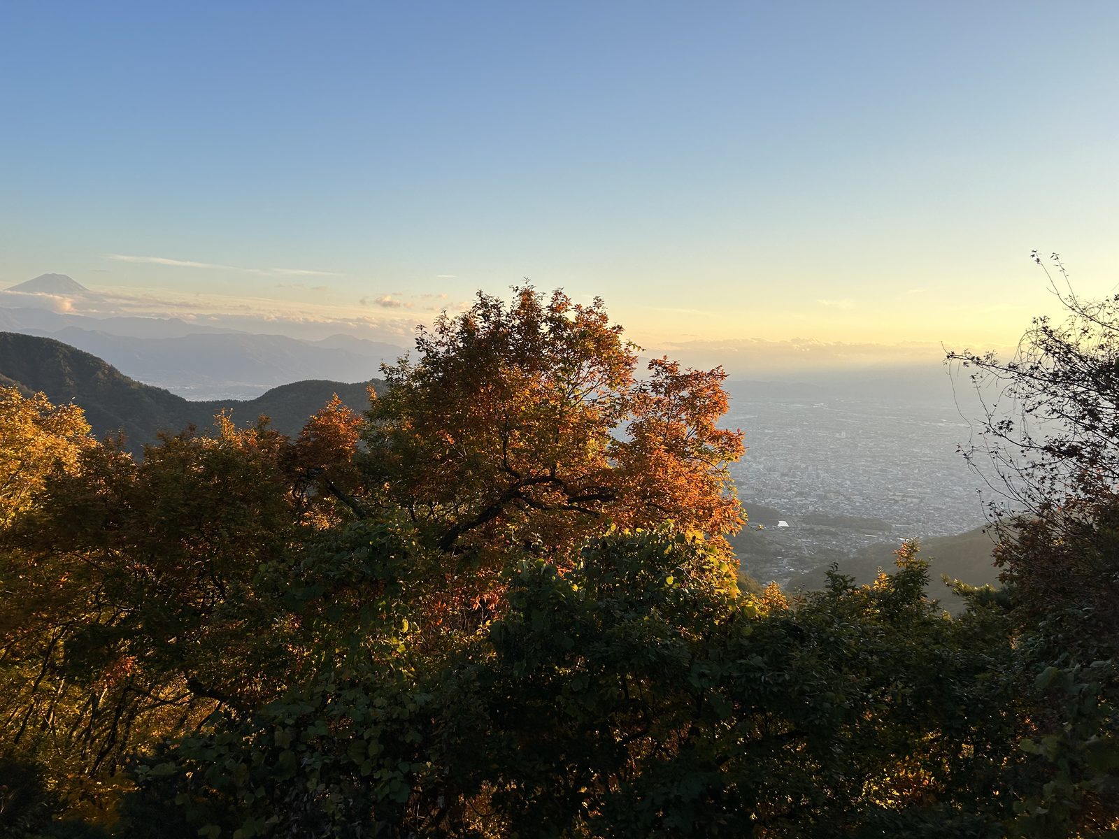 紅葉スポットから甲府盆地を見下ろす。色づいた木々の奥、左手にうっすらと富士山が見えた。16時25分、夕方の光で紅葉が輝いていた