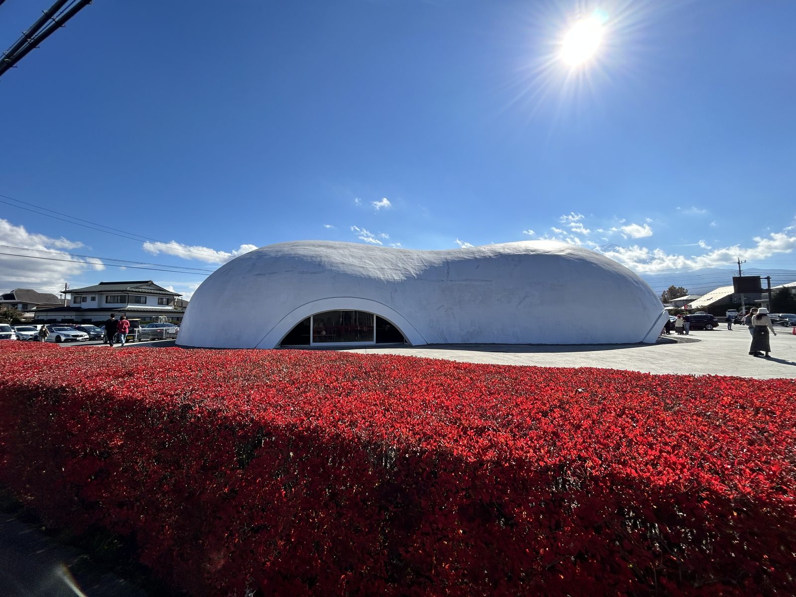 ほうとう不動の店舗。白いドーム状の建物の手前に真っ赤に紅葉した生垣が広がり、抜けるような青空に太陽が輝いていた。11時54分